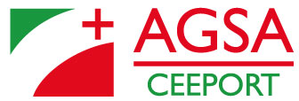 logo aagsa